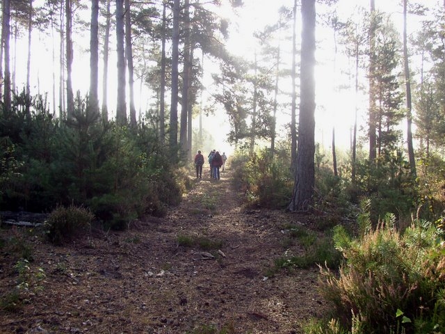 2007 10 Bois de Rochefort 14